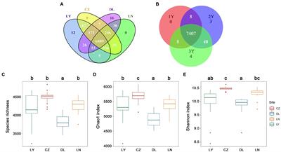 Taxonomic Structure of Rhizosphere Bacterial Communities and Its Association With the Accumulation of Alkaloidal Metabolites in <mark class="highlighted">Sophora flavescens</mark>